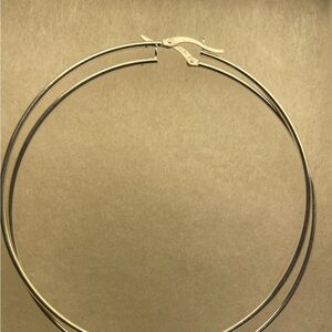 Elegant Silver Hoop Earrings